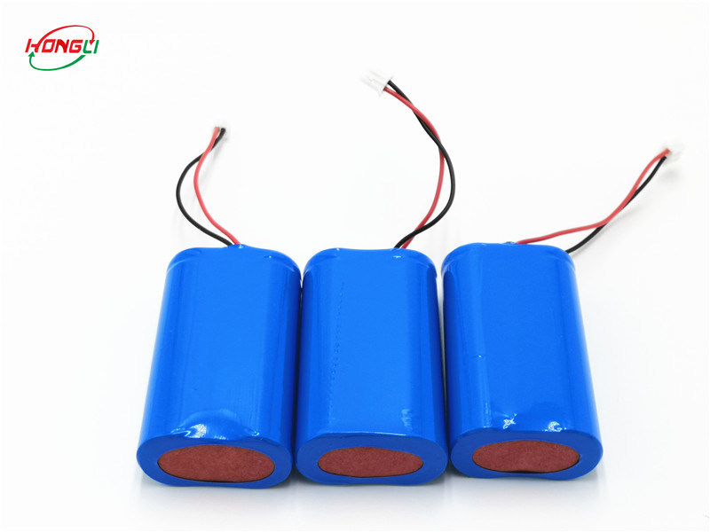 Maintenance Free Battery Pack For Lamp , Plug In Battery Pack Adopted